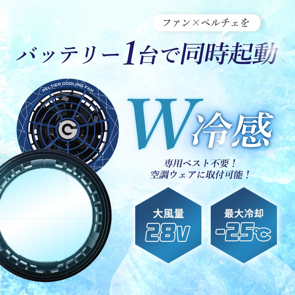 2025年長信ジャパン 28v ペルチェ一体型ファン2個 楽天市場】【ペルチェファンセット】【2025年28V】 長信ジャパン